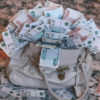 Как заработать деньги в Тамагочи
